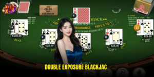 Double Exposure Blackjack